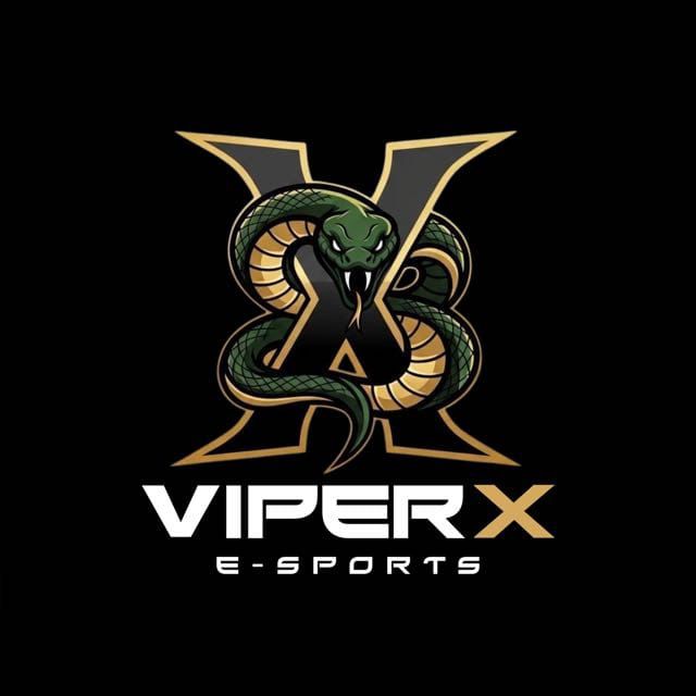 ViperX eSports