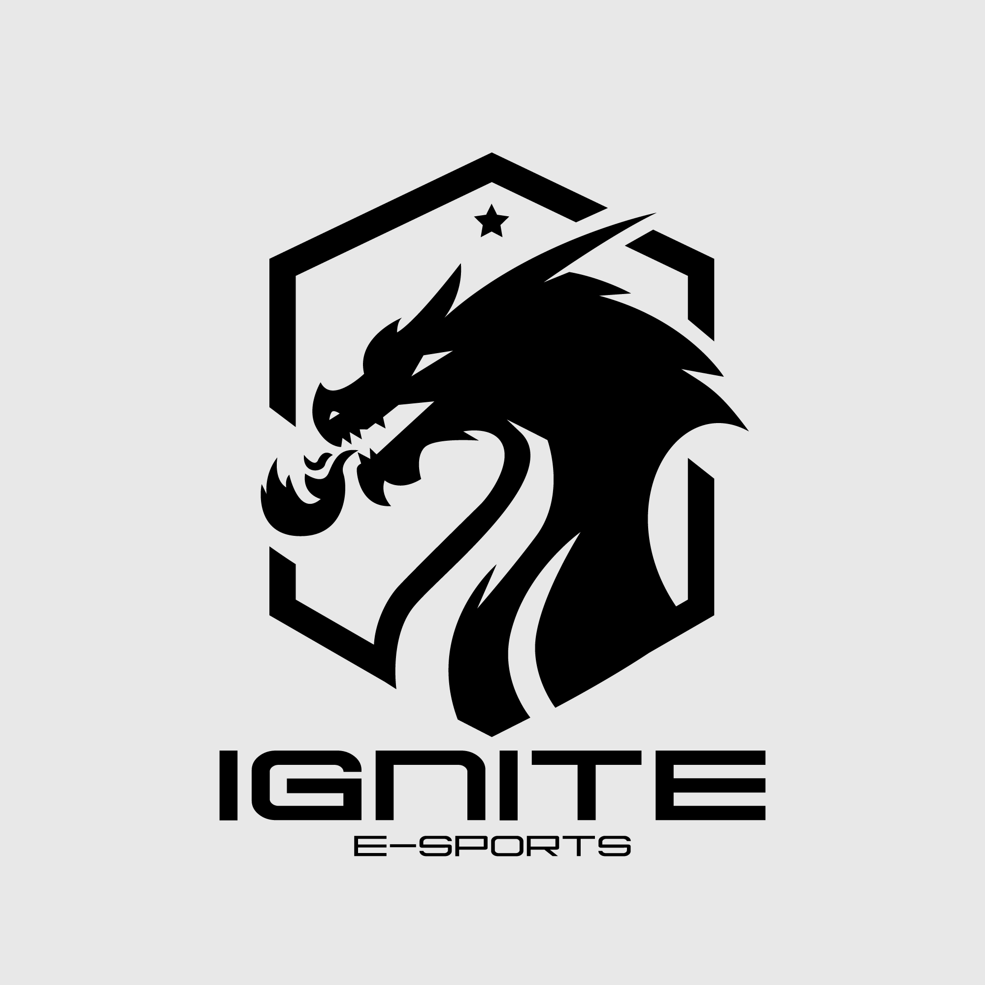 IGNITE ES