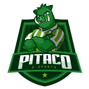 Pitaco ES